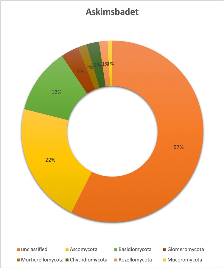 Figure 11.