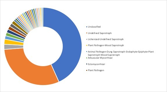 Figure 18.