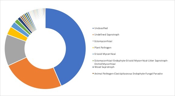 Figure 14.