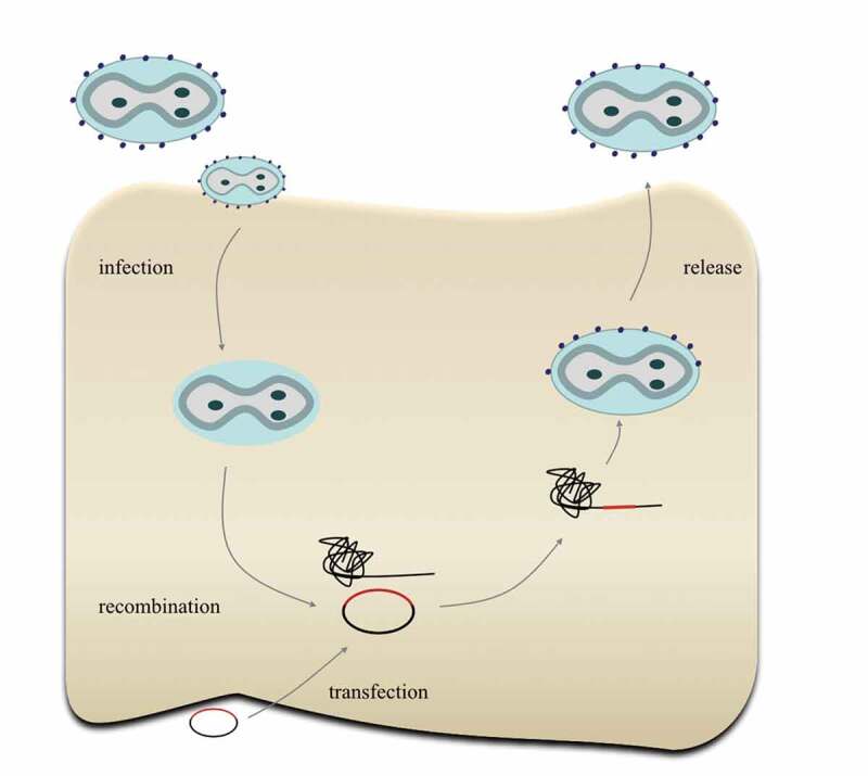 Figure 2.