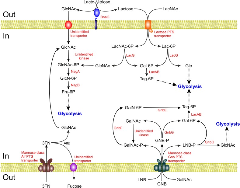 FIGURE 3