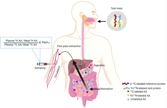 FIGURE 2