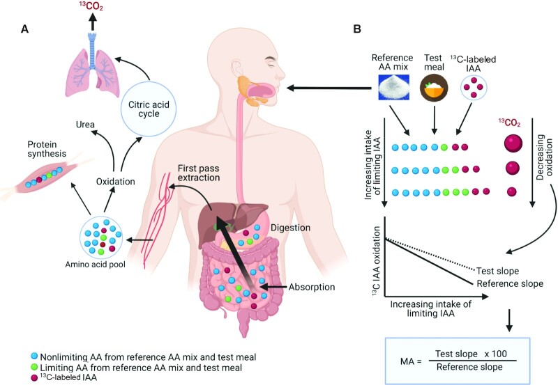 FIGURE 3