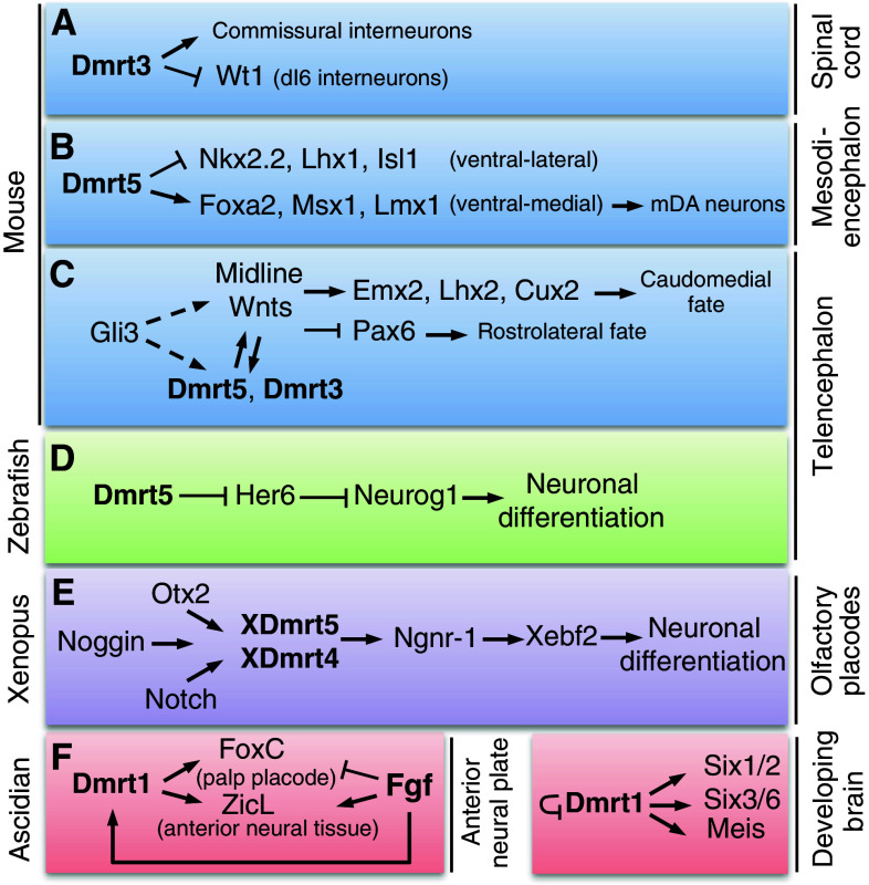 Fig. 4