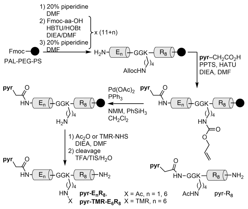 Scheme 1