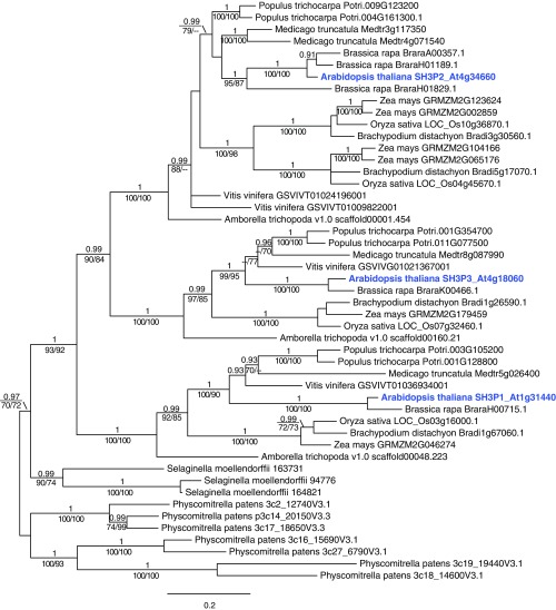 Fig. S1.