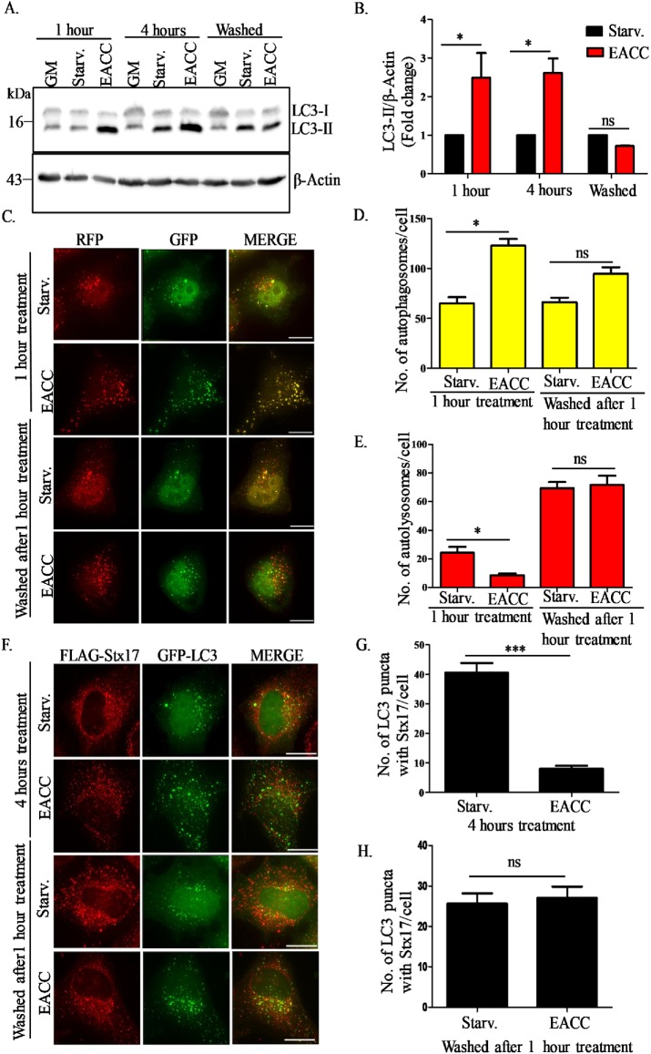 FIGURE 6: