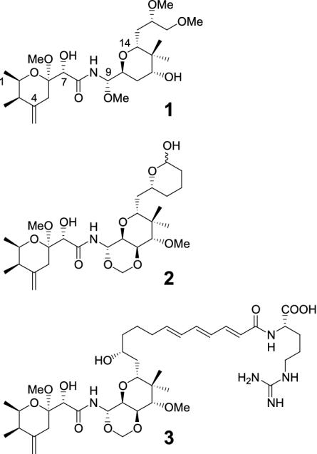 Fig. 1.