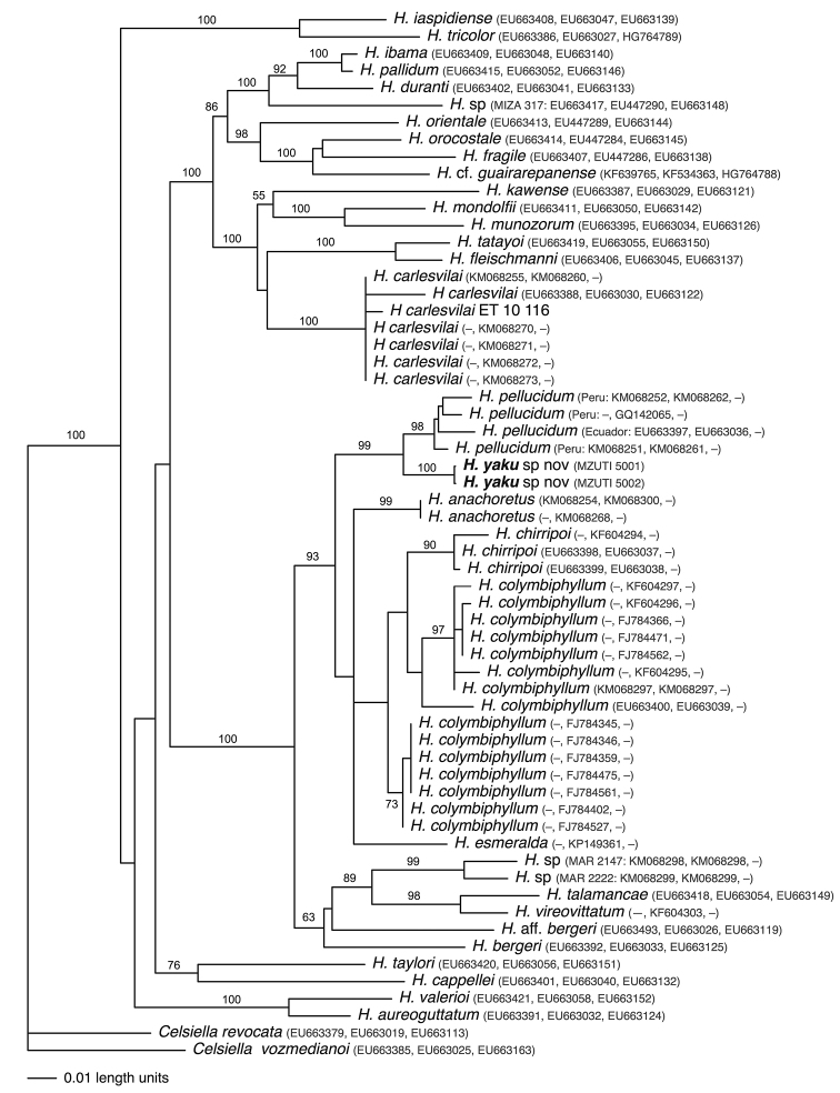 Figure 2.