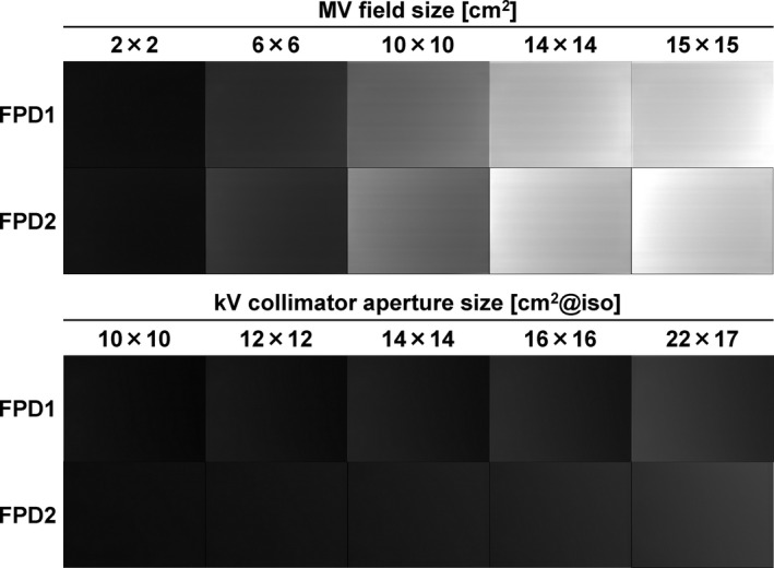 Fig. 3