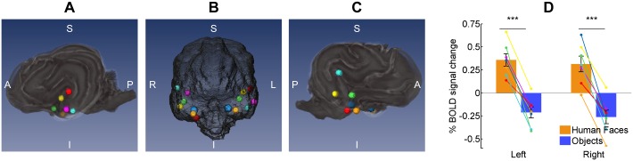 Fig 5