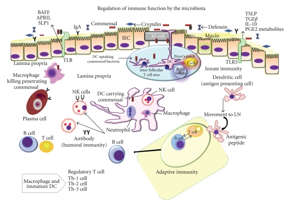 Figure 6