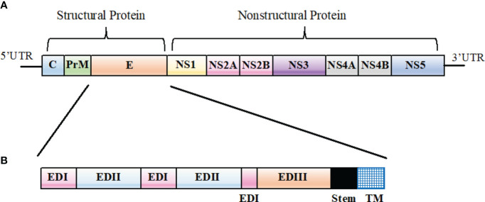 Figure 1