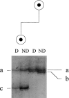 Figure  3