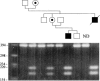 Figure  1