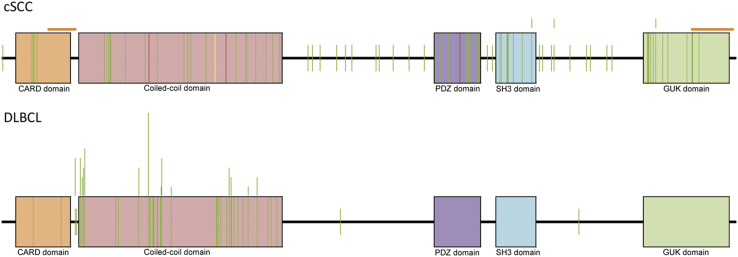 Figure 1