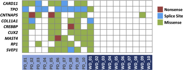 Supplemental Figure S1