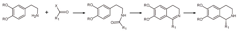 Scheme 4