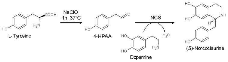 Scheme 11