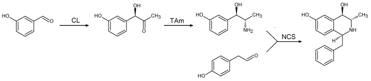 Scheme 14