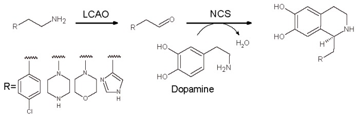 Scheme 13