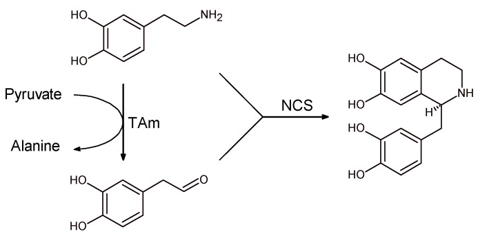 Scheme 12