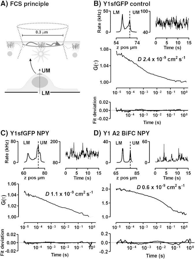 Fig. 2