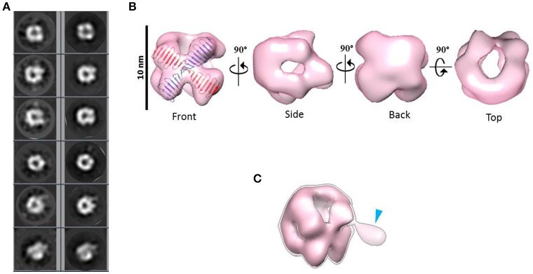 Figure 4