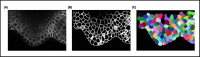 Fig 16