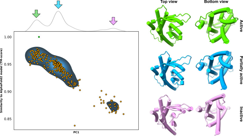 Figure 3—figure supplement 2.