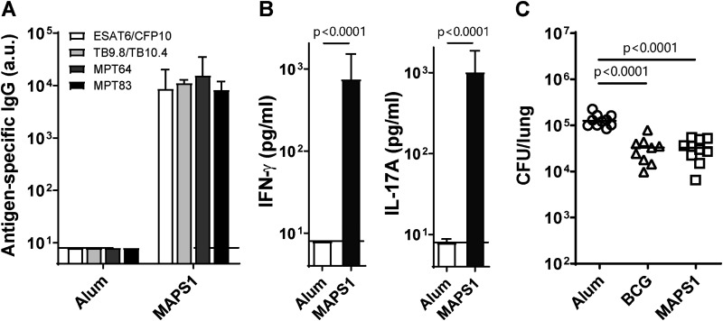 FIG 1