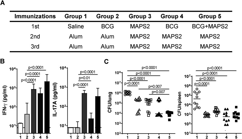 FIG 2