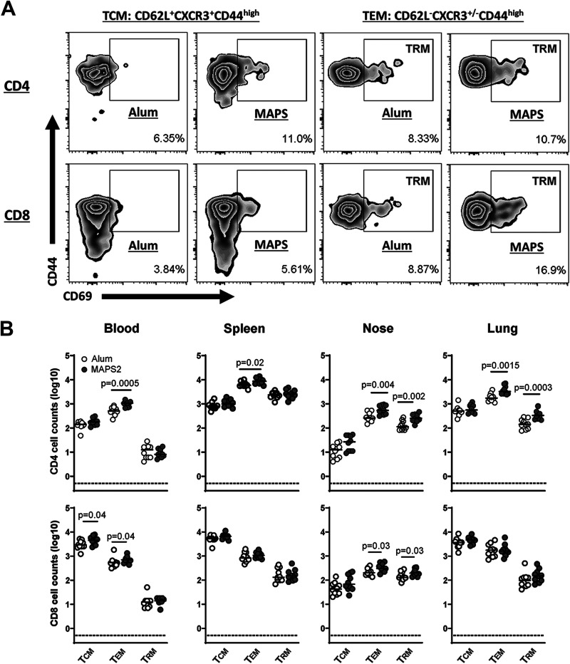 FIG 3