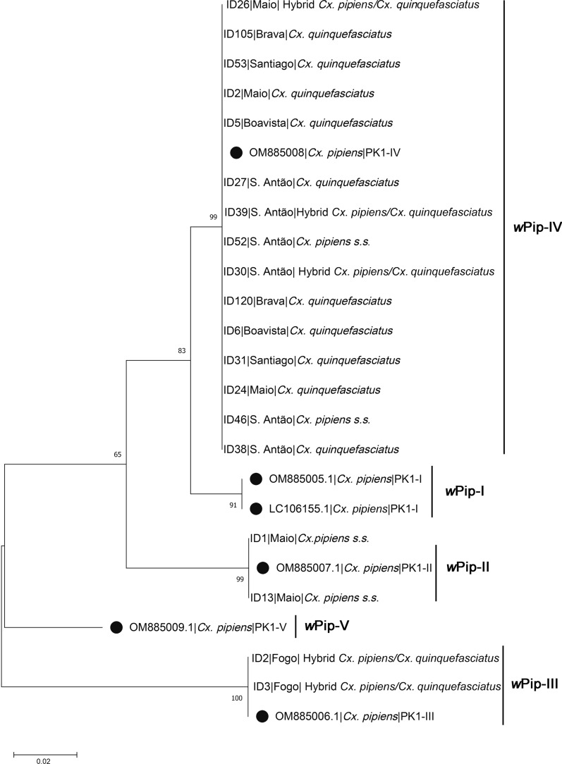 Fig. 3