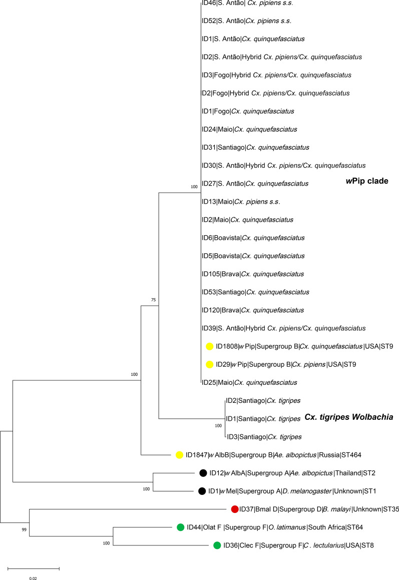 Fig. 2