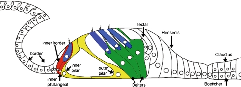 FIG. 1