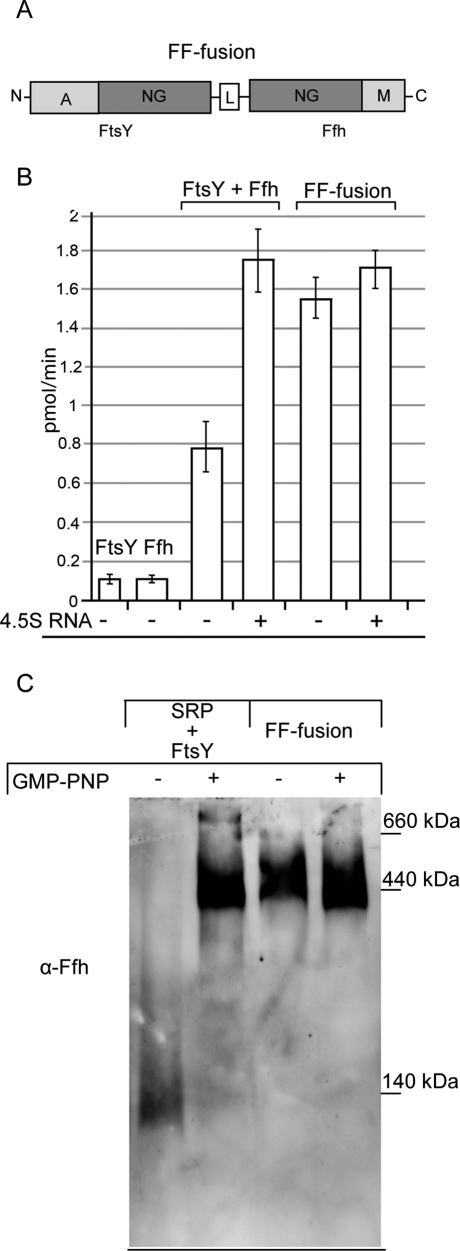 FIGURE 4: