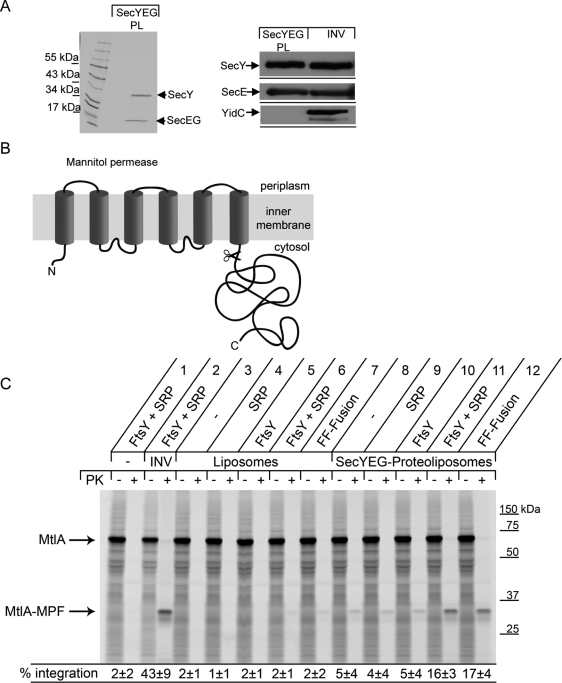 FIGURE 6: