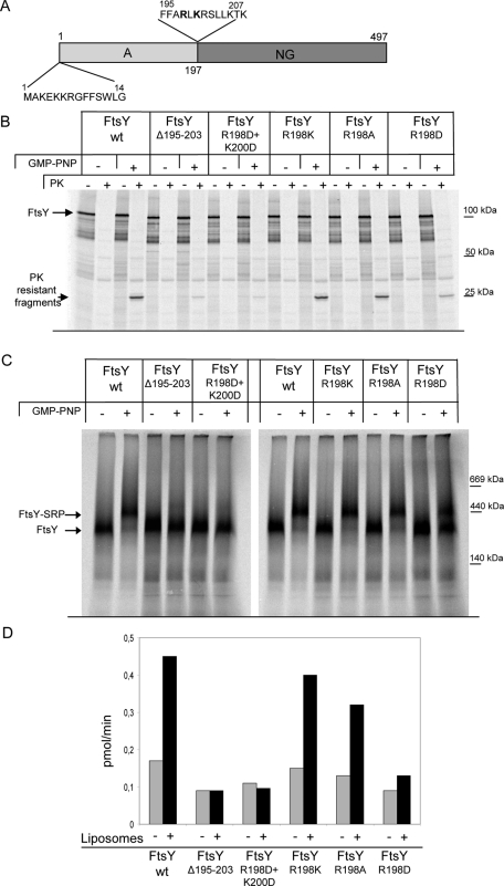 FIGURE 3: