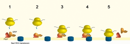 FIGURE 9: