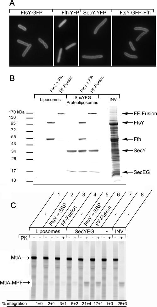 FIGURE 7: