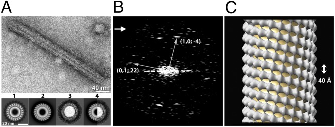 Fig. 3.