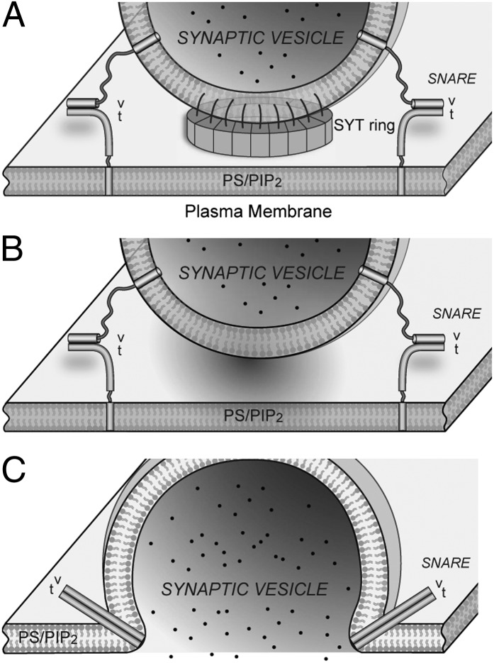 Fig. 5.