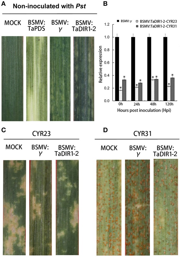 Figure 6