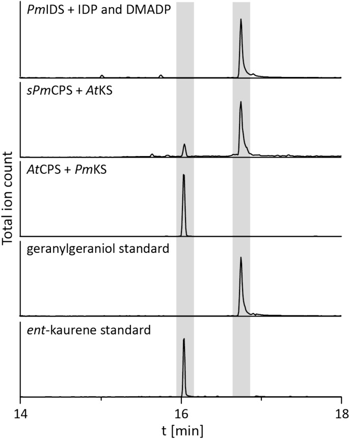 FIGURE 2