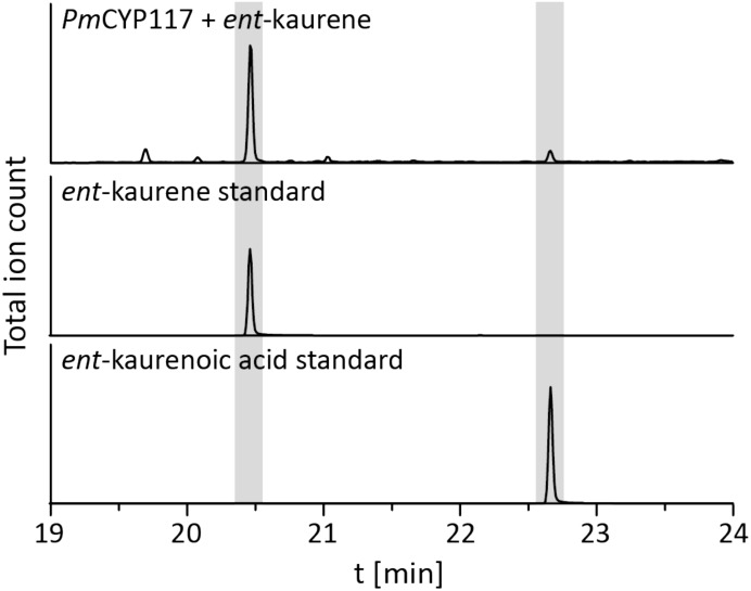 FIGURE 3