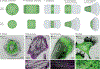 Figure 1 |