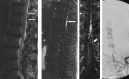 F<sc>ig</sc> 4.