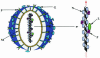 FIG. 1.