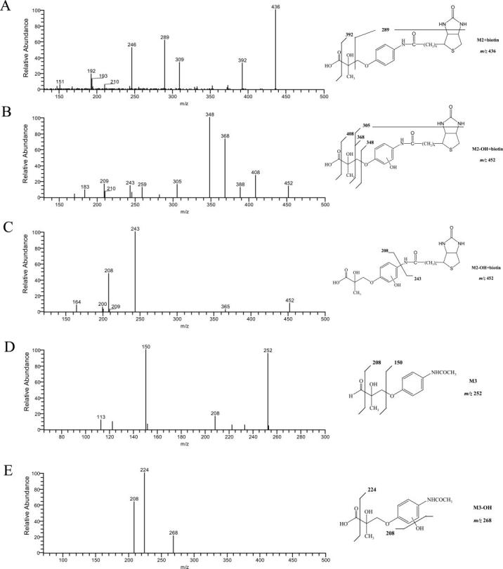 Fig. 5